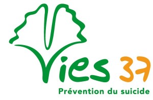 Logo VIES 37